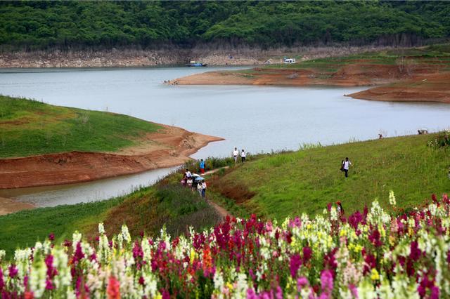 汉江绿谷生态园图片