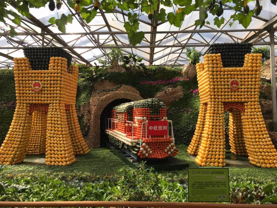 今年的寿光菜博会,太"菜"了.(现场图)