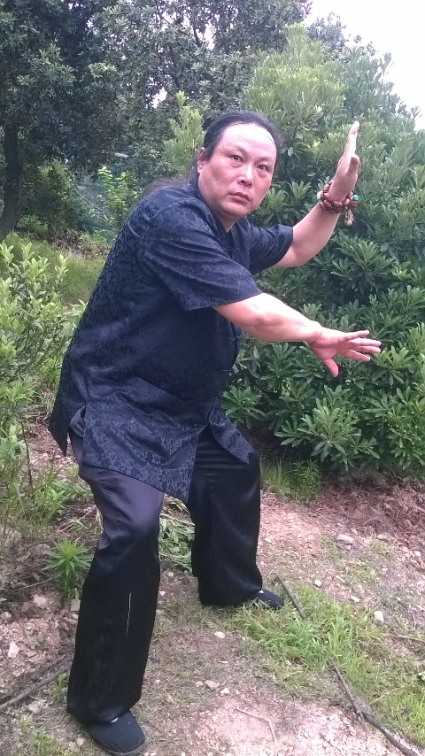 编辑转发:郑州陈氏太极拳小架学堂鹰熊合演:鹰熊合演拳掌变,起鹰落熊