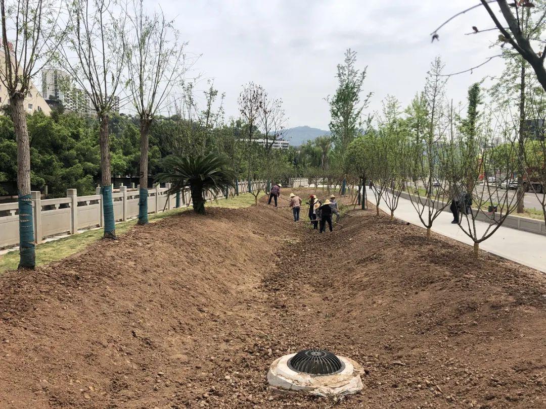 绿化空间则选择了以草坪为主的开阔空间,并搭配了微地形起伏堆坡造型