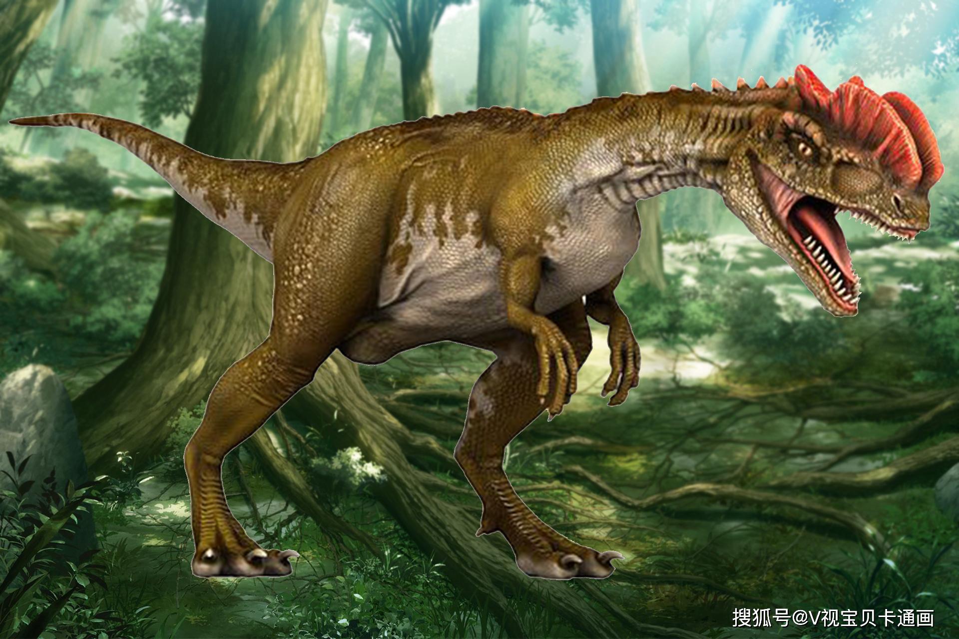 画一只头顶双冠的恶魔!男孩子最喜欢的恐龙简笔画,双冠龙