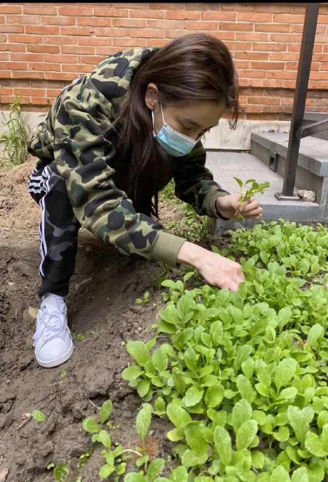 baby豪宅中開荒種菜小海綿幫媽媽除草乖巧可愛