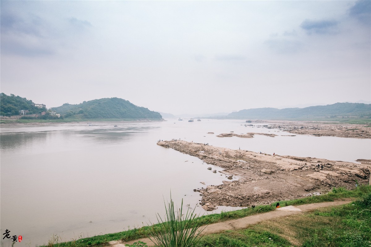 疫情后的重庆,难得赶上春日暖阳,广阳岛江畔风筝齐飞乐趣多_人生