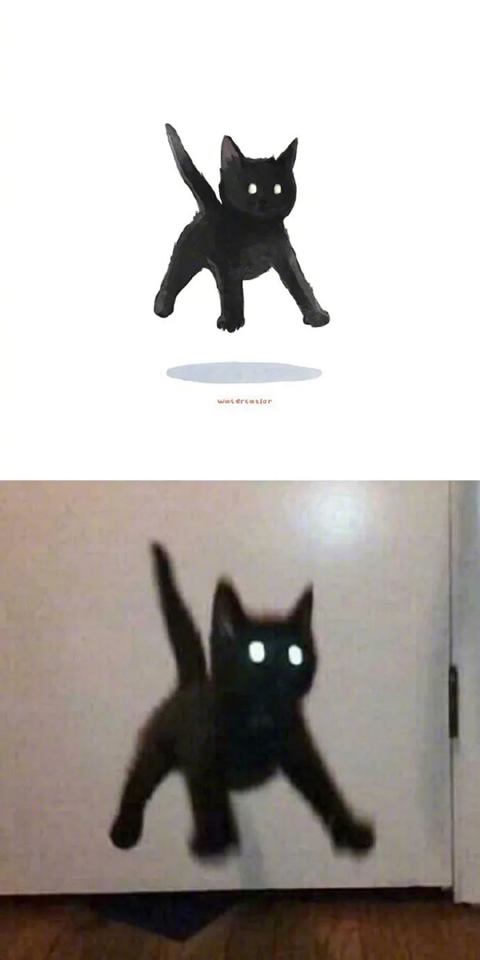 当沙雕猫咪遇上灵魂画手,这些猫咪好像更沙雕可爱了