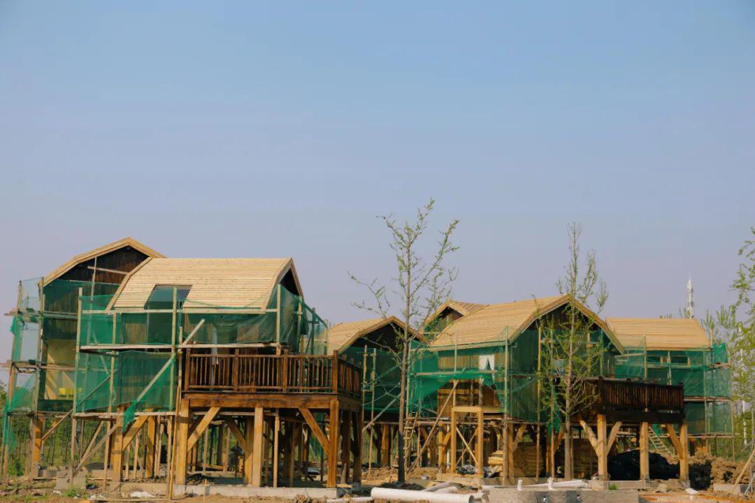 松鼠小镇下半年开园,是真的有松鼠!