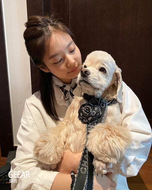 blackpink的jennie抱爱犬登上韩国《vogue》杂志封面