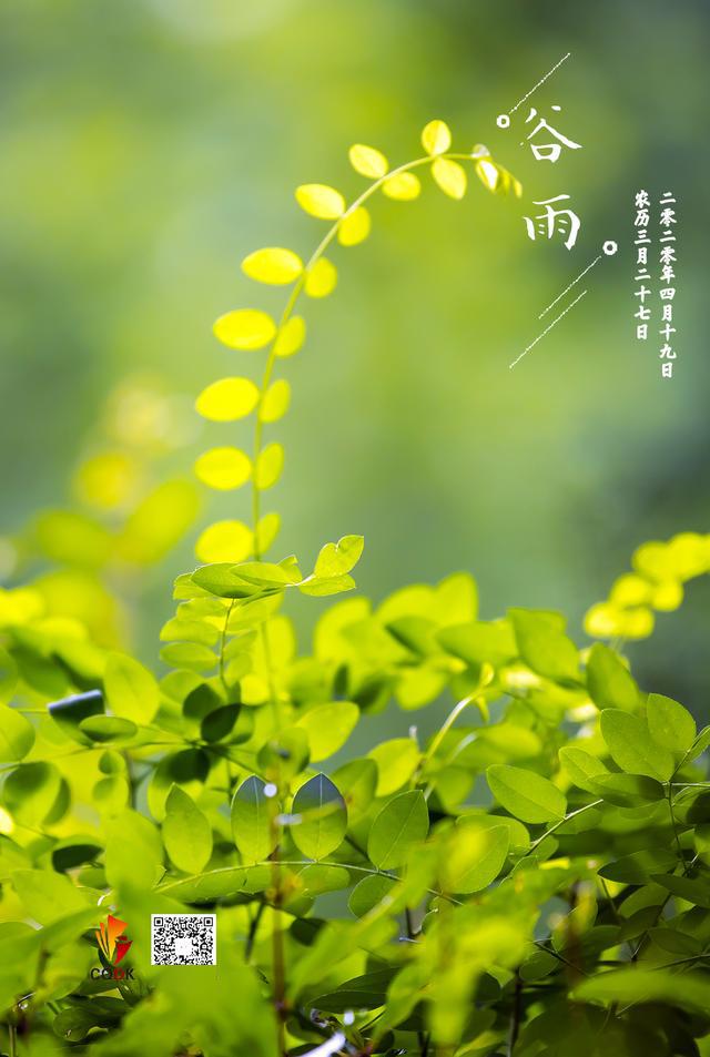 雨生百谷最是人间四月天