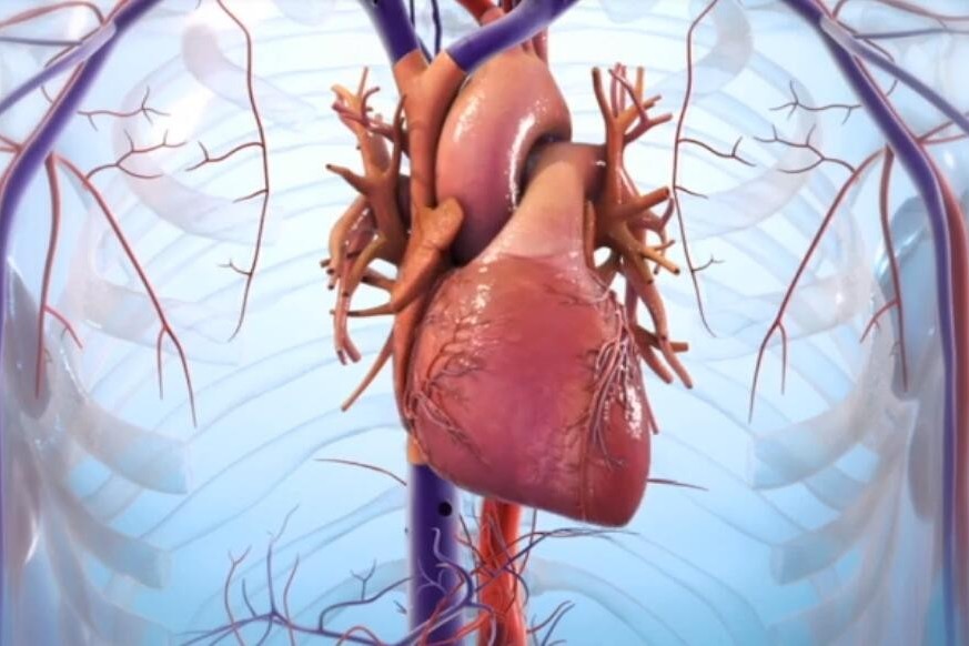 全球3d打印心脏都到什么程度了?