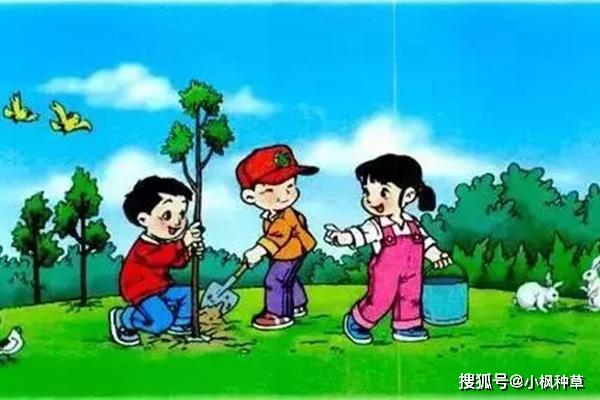 原創世界一流小學語文一年級看圖寫話圖片和範文趕緊收藏起來給孩子