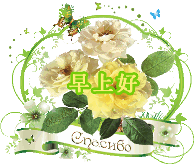美丽漂亮的早上好图片蝴蝶非常漂亮的花早安