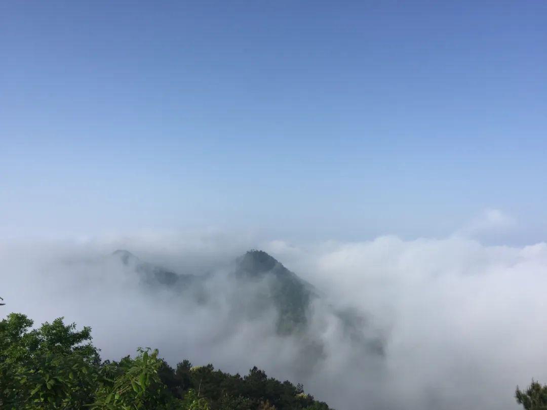 今天早上老鹰山上出现奇异景观从来没见过