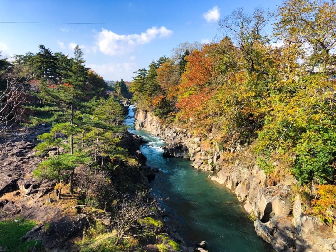 疫情中唯一没有失守的岩手县,你真的没有好好认识过它!
