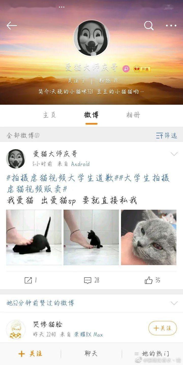 我会给你们准备1000只猫尸体—虐猫者范源庆