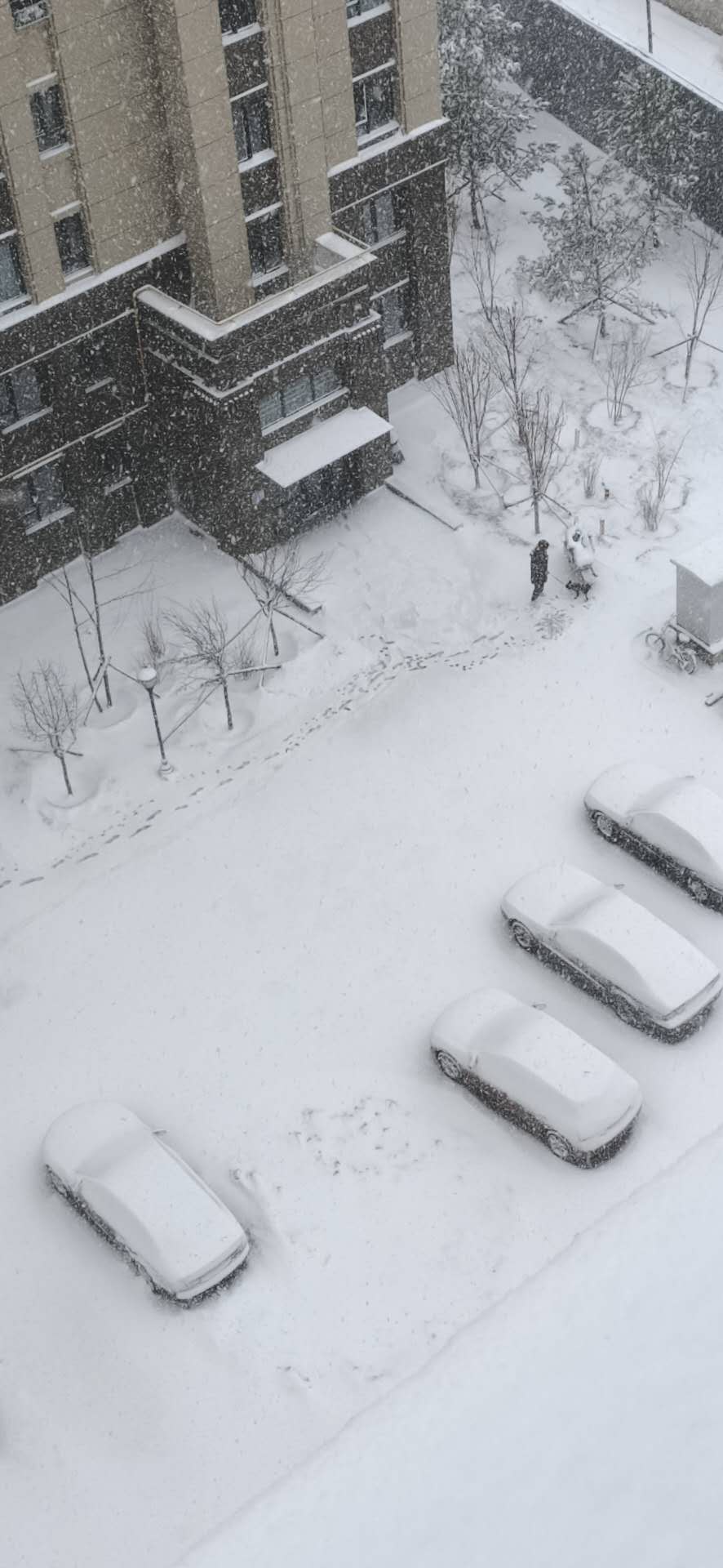 白城下雪图片