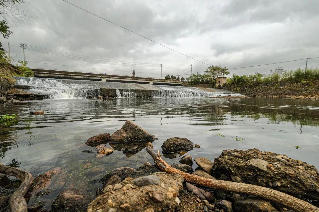 东阳这条浙江最美绿道还没去过打卡攻略来了