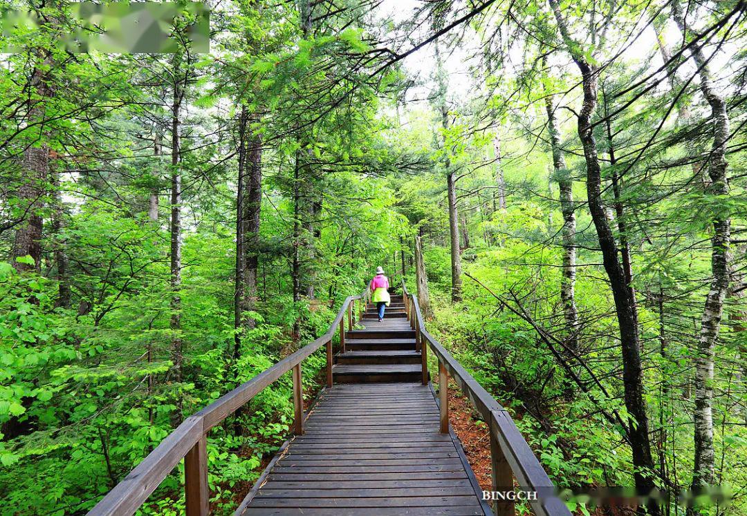 相约镜泊湖地下森林漫步在火山口与鸳鸯池畔