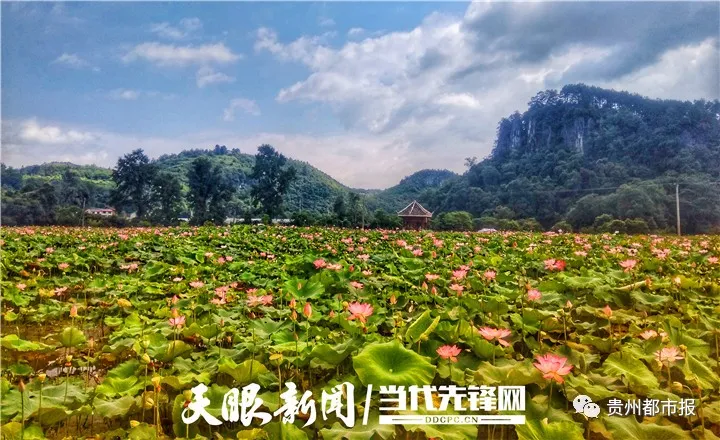 第一批国家森林乡村-黎平县高屯街道八舟社区