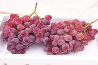 【功效】:提子性平,味甘酸,入肺,脾,肾经,有补气血,益肝肾,生津液,强