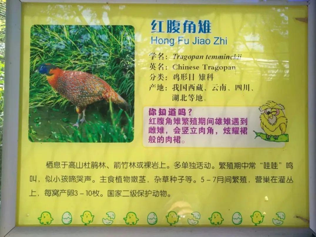 广角逛个动物园为啥也能遇到买家秀和卖家秀