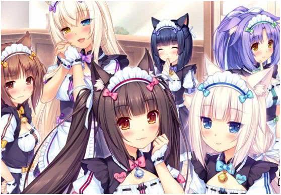 宅男为何这么爱她们猫娘乐园系列游戏销量达300万