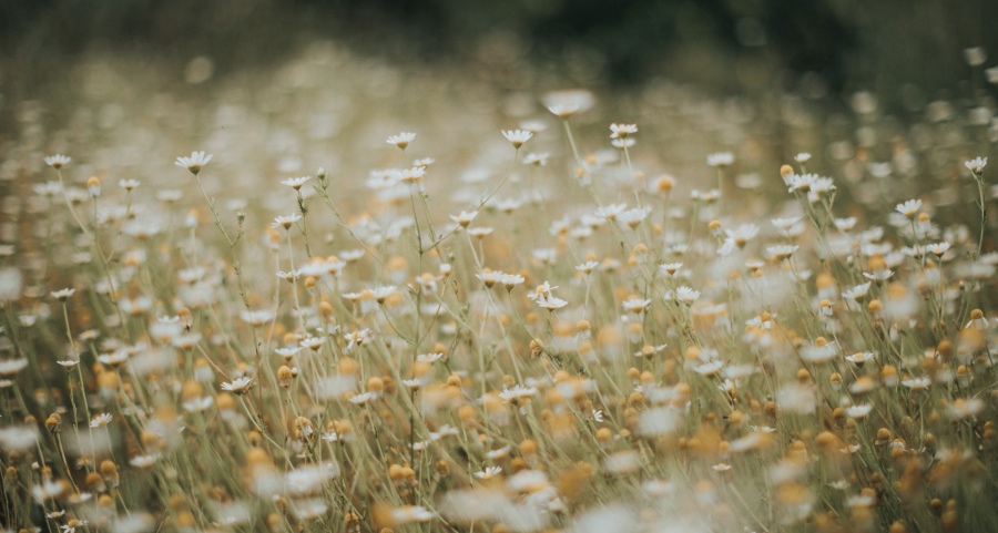 家电产业在最困难时刻催生新起点-家电圈官网