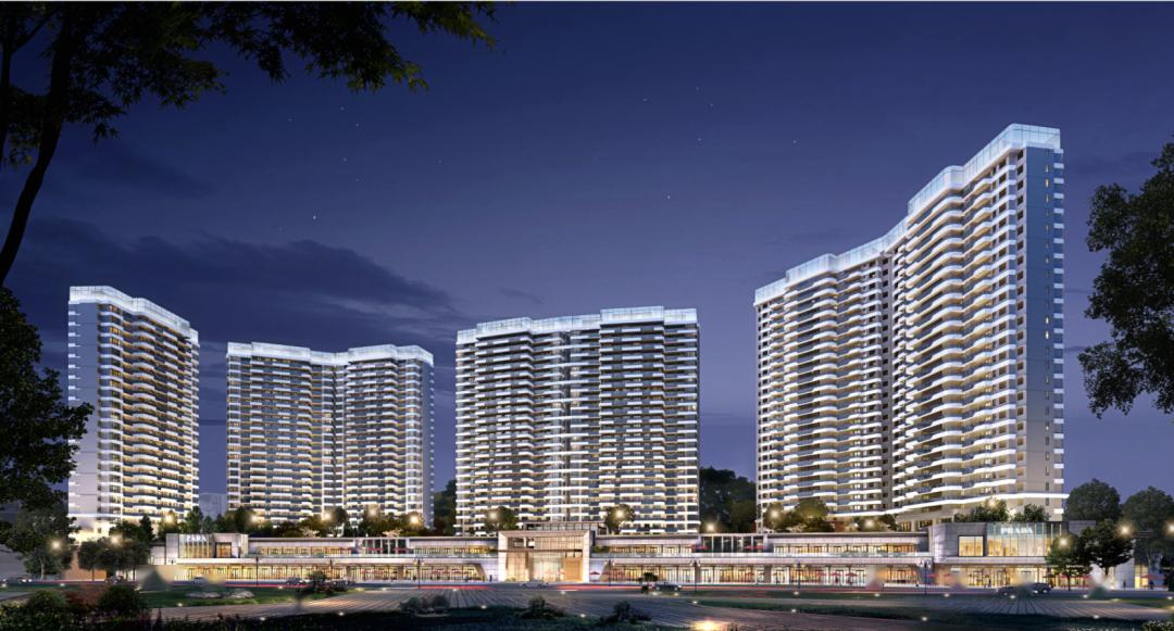 对标天府新区畅谈三江新区丨丽雅置地举办新区机遇与生态价值沙龙