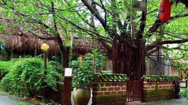 两树夹一房家破又人亡两树夹一房金银早满堂