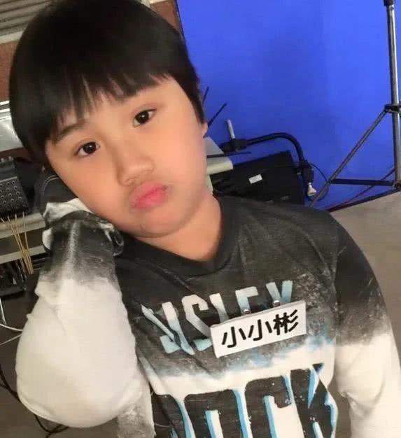 而小小彬和弟弟迷你