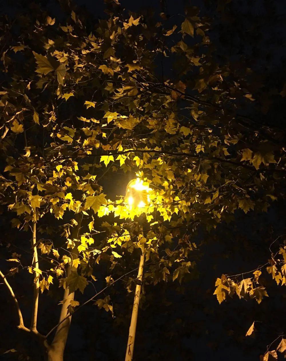 离校前的最后一张照片ta的手机里竟是