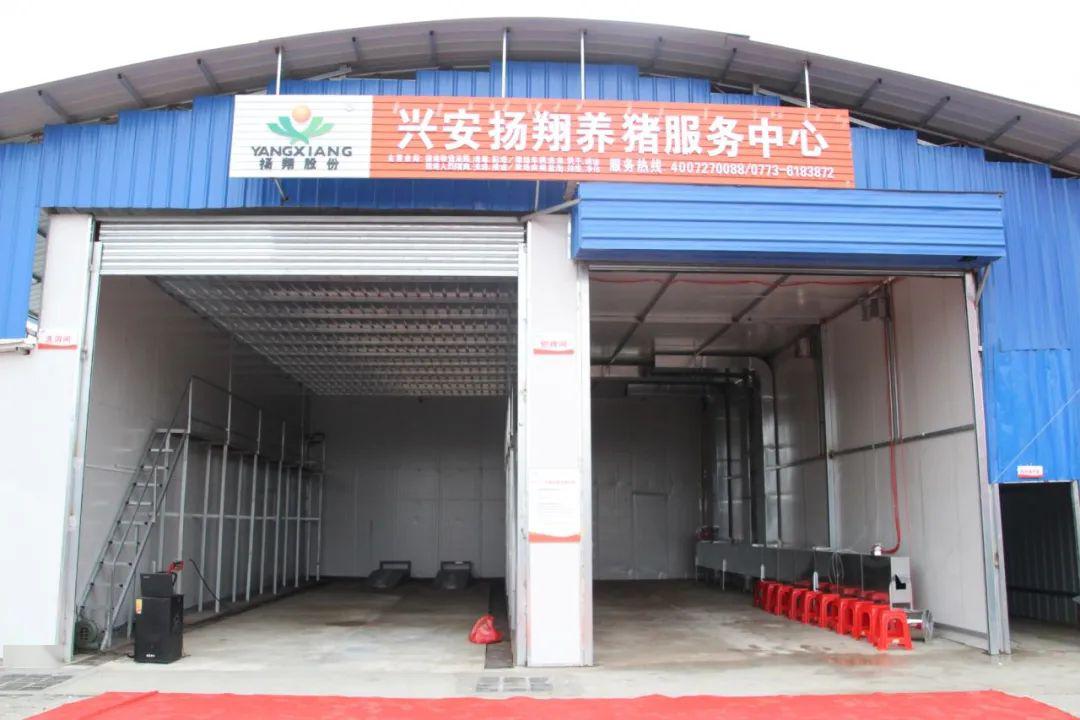 猪场防火墙它来帮您造扬翔首家养猪服务中心开张