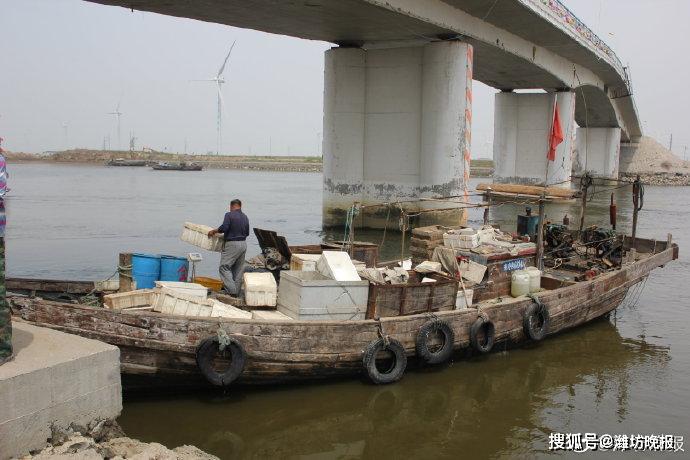 还没出海 就要进入休渔期了_羊口