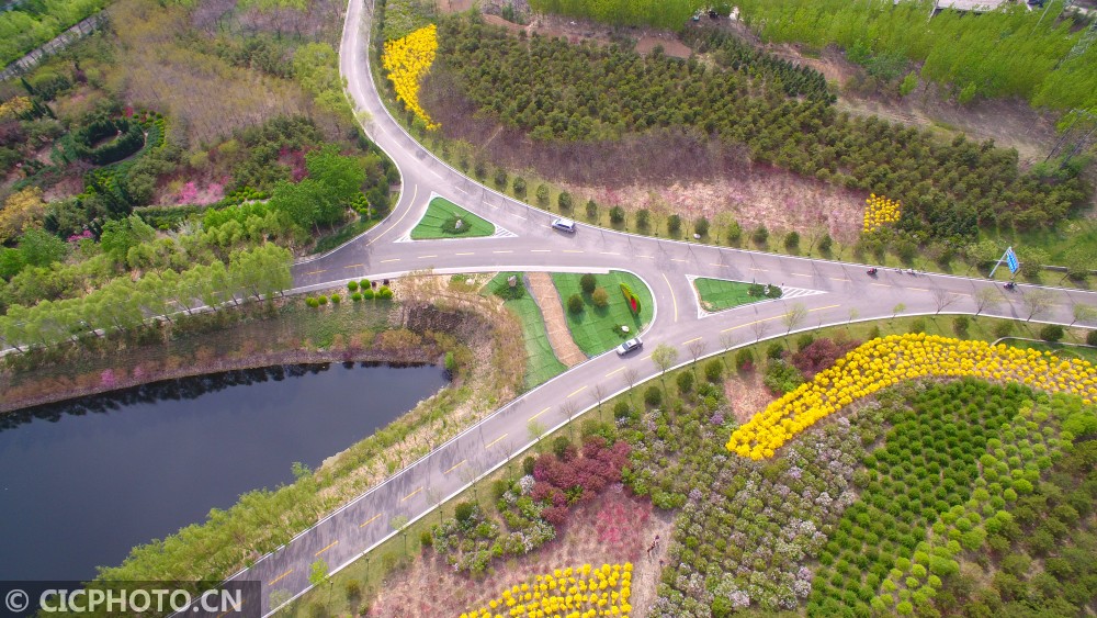 山西孝义绿意浓