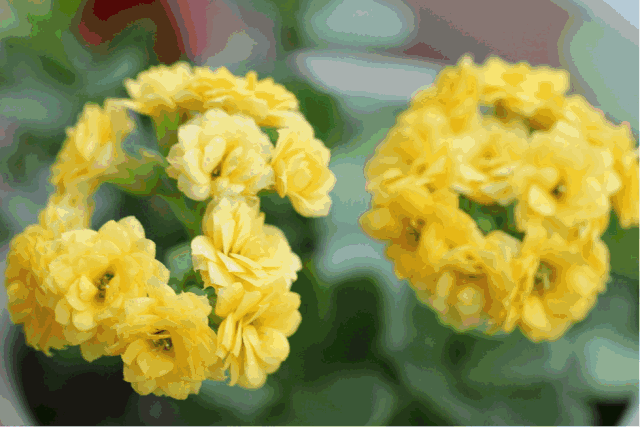 640_427gif 动态图 动图