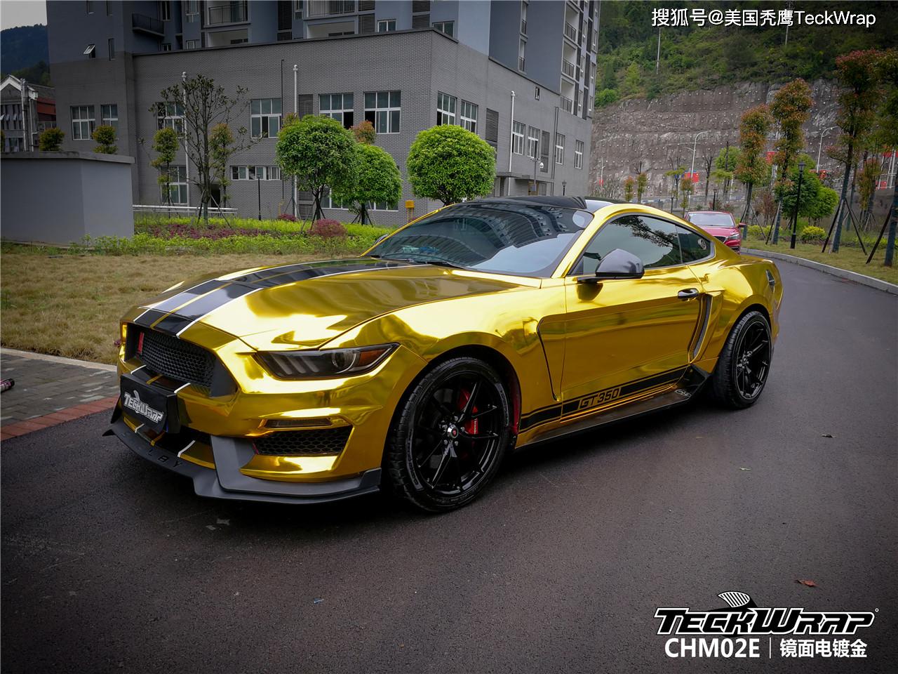 整车镀金(汽车 镀金)
