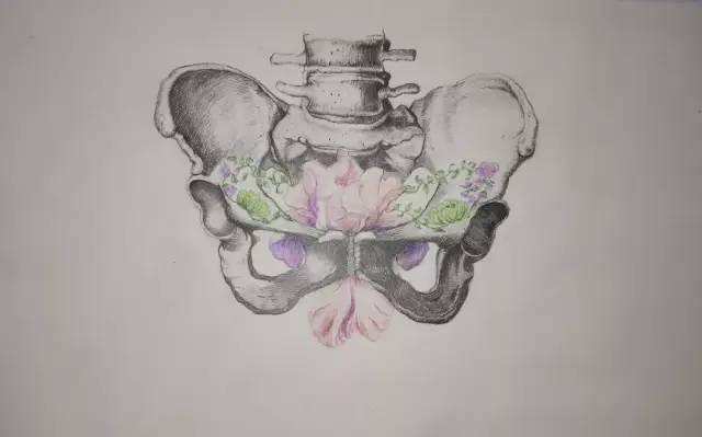 大健康学院人体解剖绘画大赛投票开始啦!_心脏