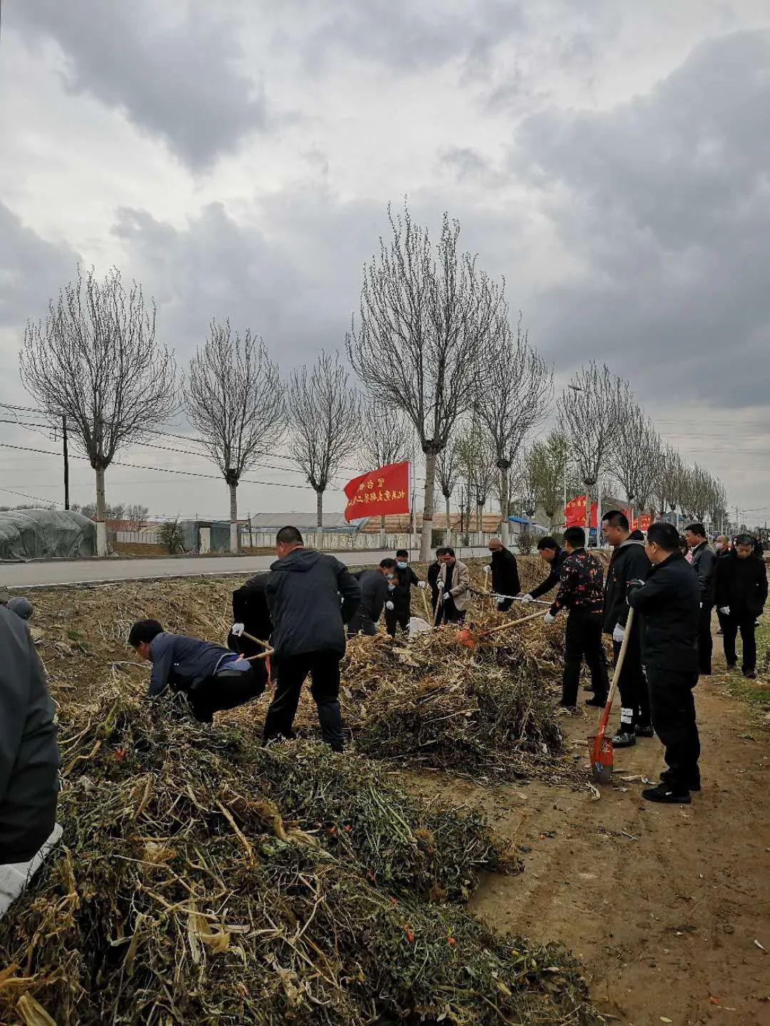 望台镇开展清洁家园行动日义务劳动活动