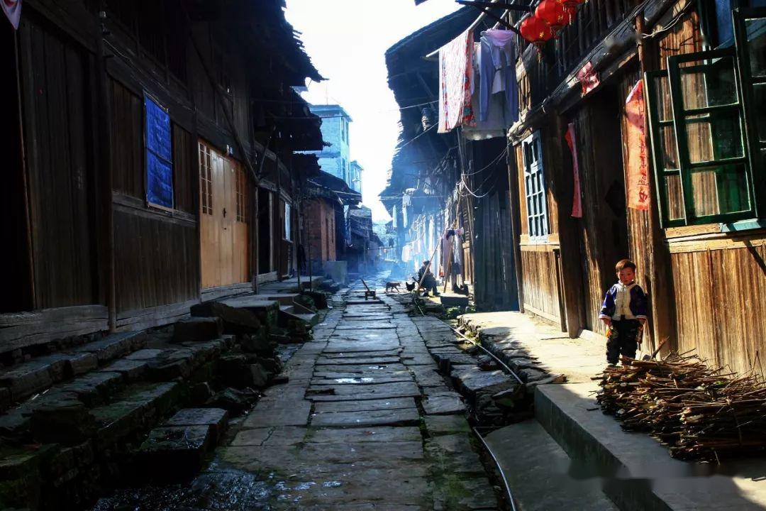 茶旅  学习考证   "度假",赶快报名益阳市第三届国家高级制茶师培训班