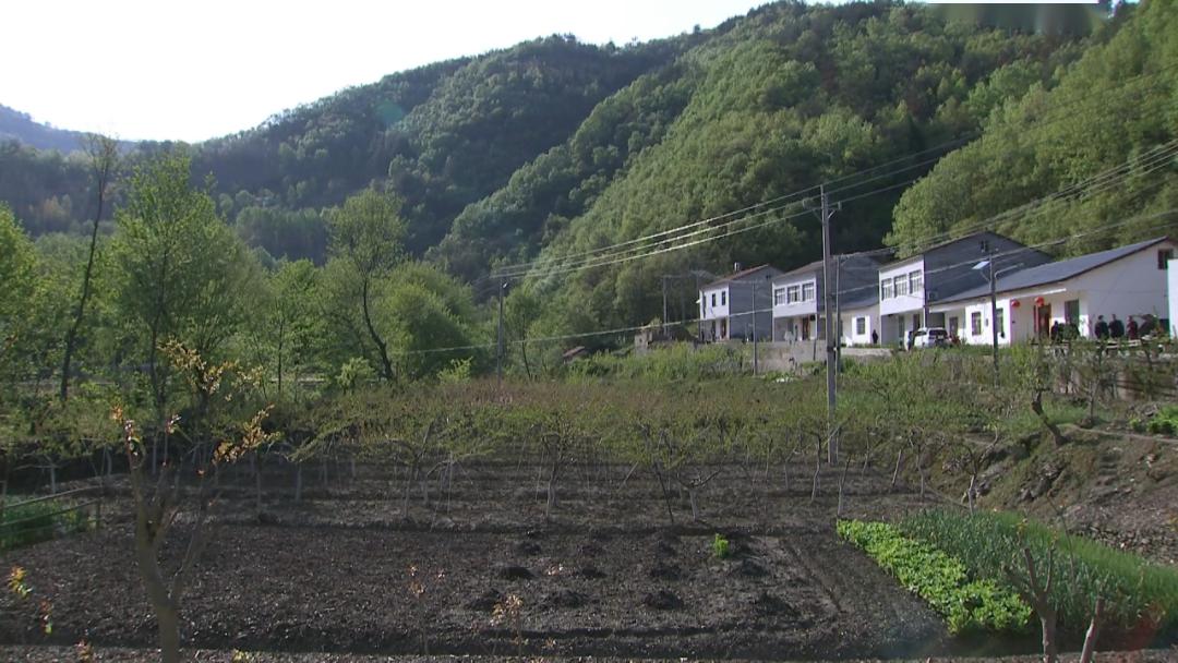 保康寨湾村一日游图片