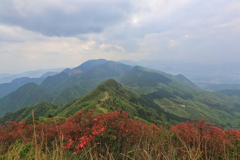 旌德黄高峰景区图片