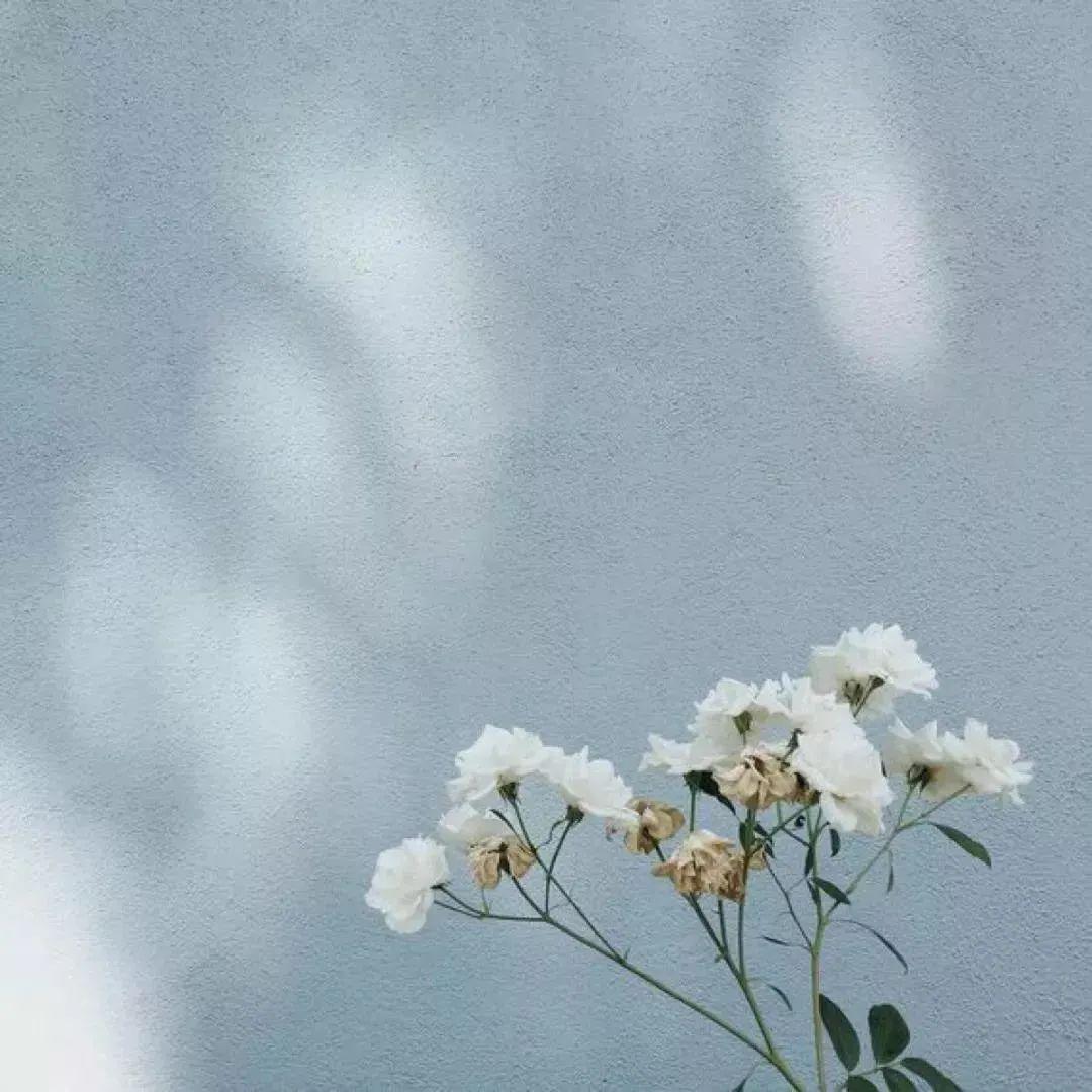 可爱清新的朋友圈背景图超好看的朋友圈背景图