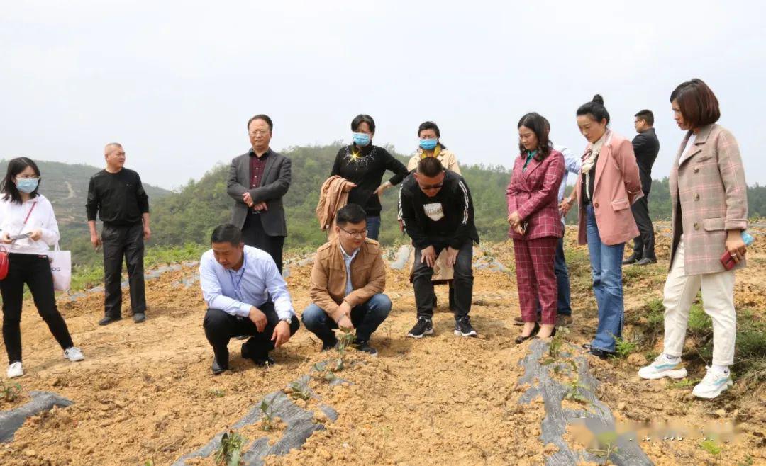 民盟贵州省委联合专家帮扶团赴长春堡镇干堰村开展智力帮扶活动