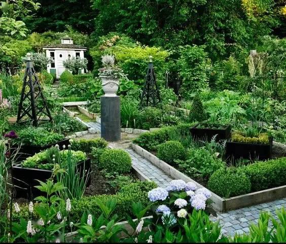 老外的菜园,比花园还美._庭院