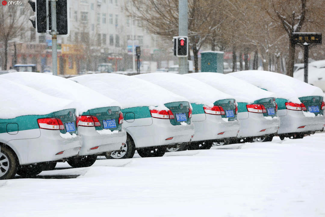 黑龙江突降暴雪 室外停车秒裹厚厚雪衣