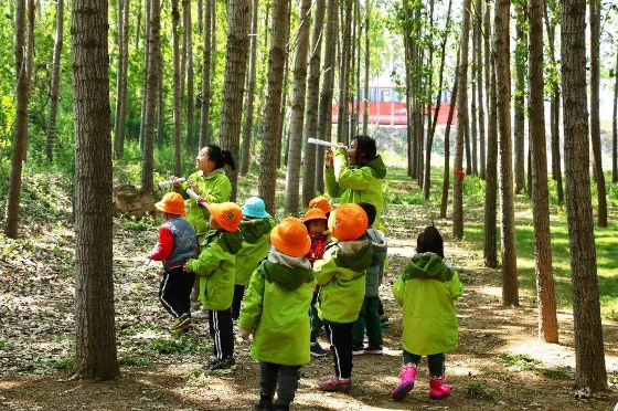 森林教育如何结合五大领域?解答不可错过!