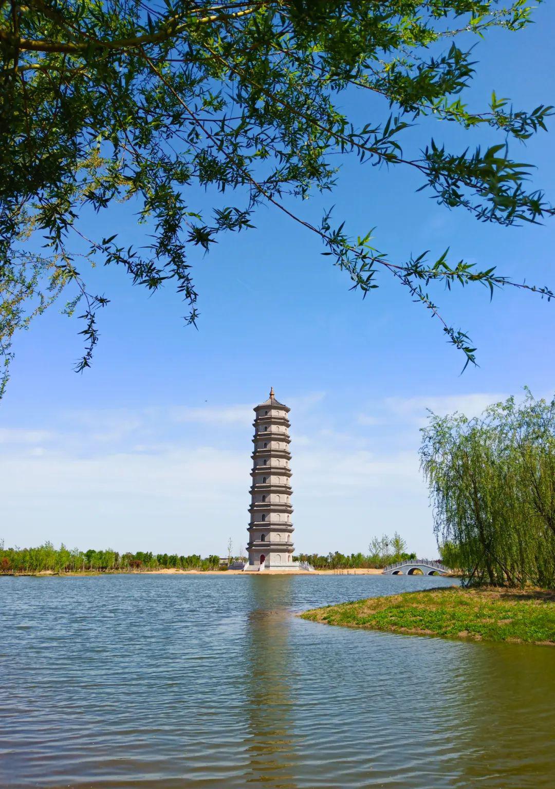 春光正好韶华莫负影像清丰摄影作品三