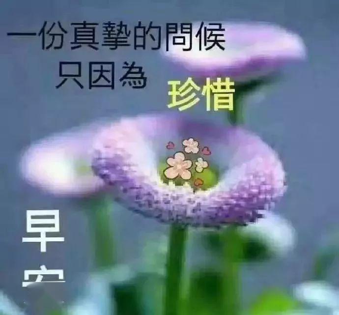 春天最新清早問候大家早上好的漂亮圖片早上好問候溫馨祝福圖片