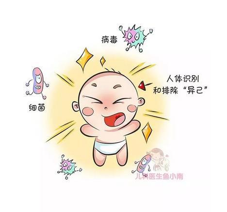 辟谣:牛初乳,益生菌可以提高孩子免疫力,真想提高免疫力看这里