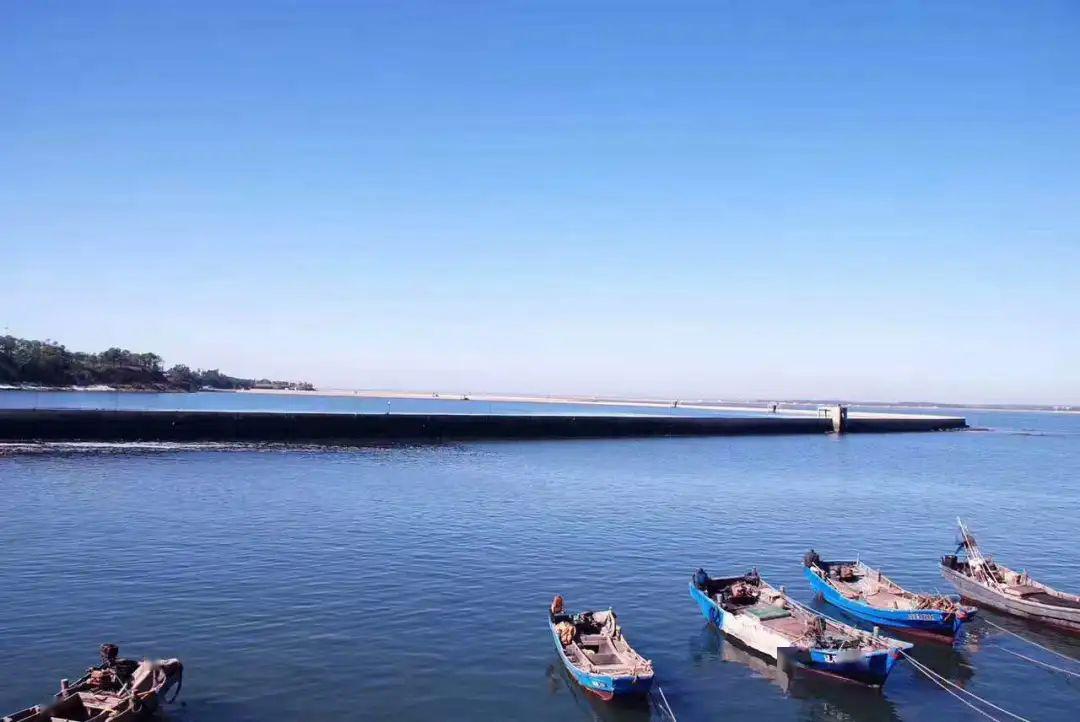 久别重逢春天的平岛太撩人