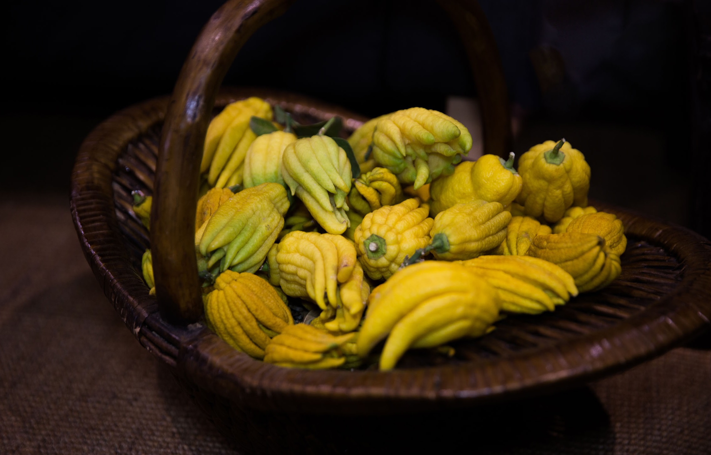 理气化痰健脾和胃止呕消肿保护心脏什么药材有如此功效