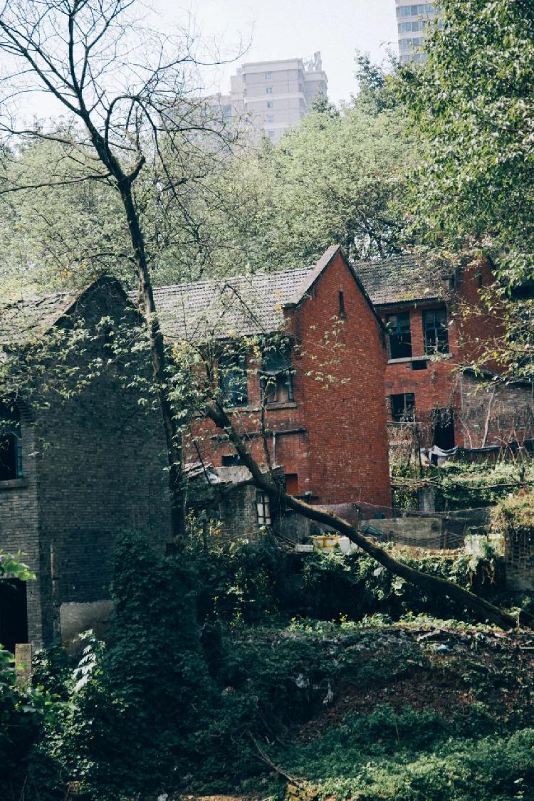 百年铜元局装着全重庆的盛夏光年